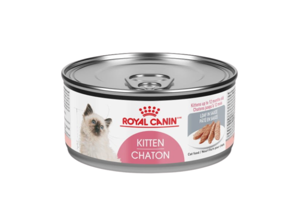 Pate Royal Canin Kitten Dạng Lon - Có Giá Khoảng 36.000VND/85gr