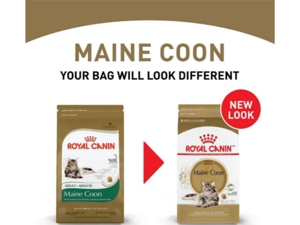 Hạt Maine Coon Adults Dry Cat Food - Bao bì mới