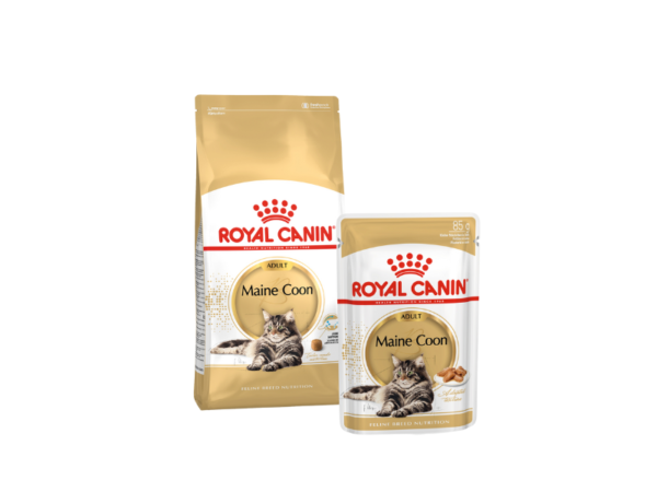 Thức ăn Royal Canin Maine Coon Thin Slices dành cho mèo