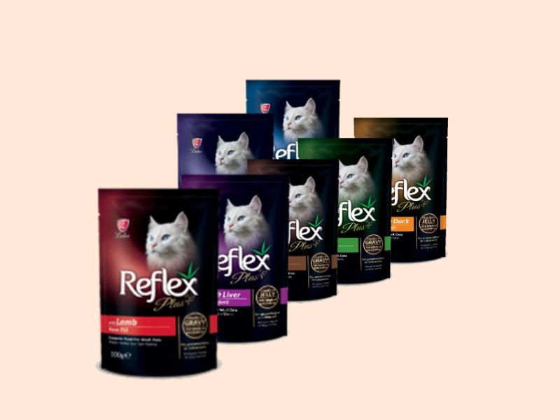 Hạt Reflex cho mèo có tốt không? Tổng Quan Mới Nhất 2024
