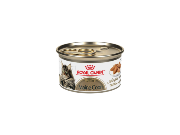 Thức ăn Royal Canin Maine Coon Thin Slices dành cho mèo - Loại Lon