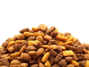 Hạt không độn ngũ cốc cho mèo | Tổng hợp các loại hạt tốt nhất cho mèo năm 2024
