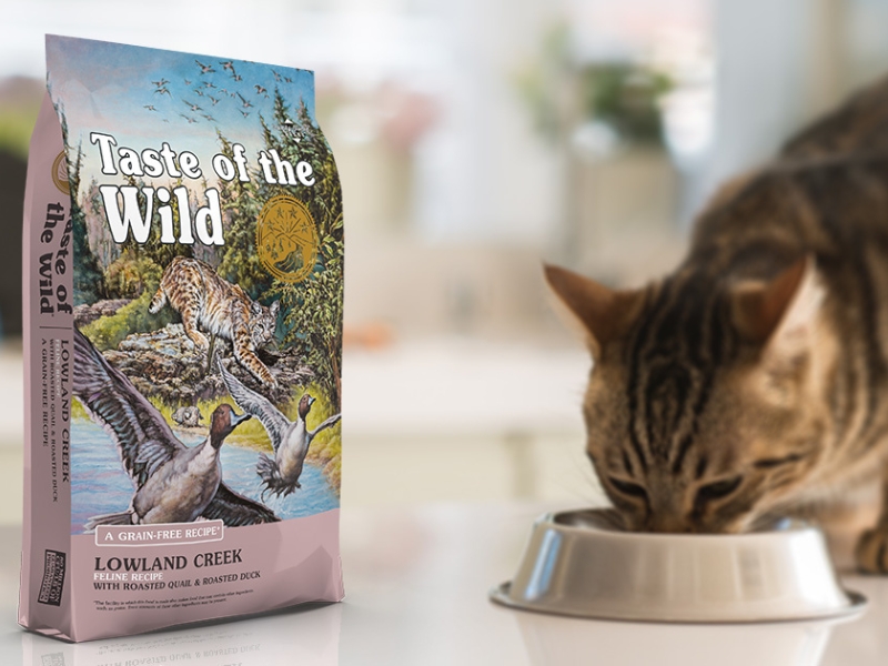 Hạt Taste of the wild cho mèo | Đặc biệt nổi bật | Cập nhật mới nhất 2024